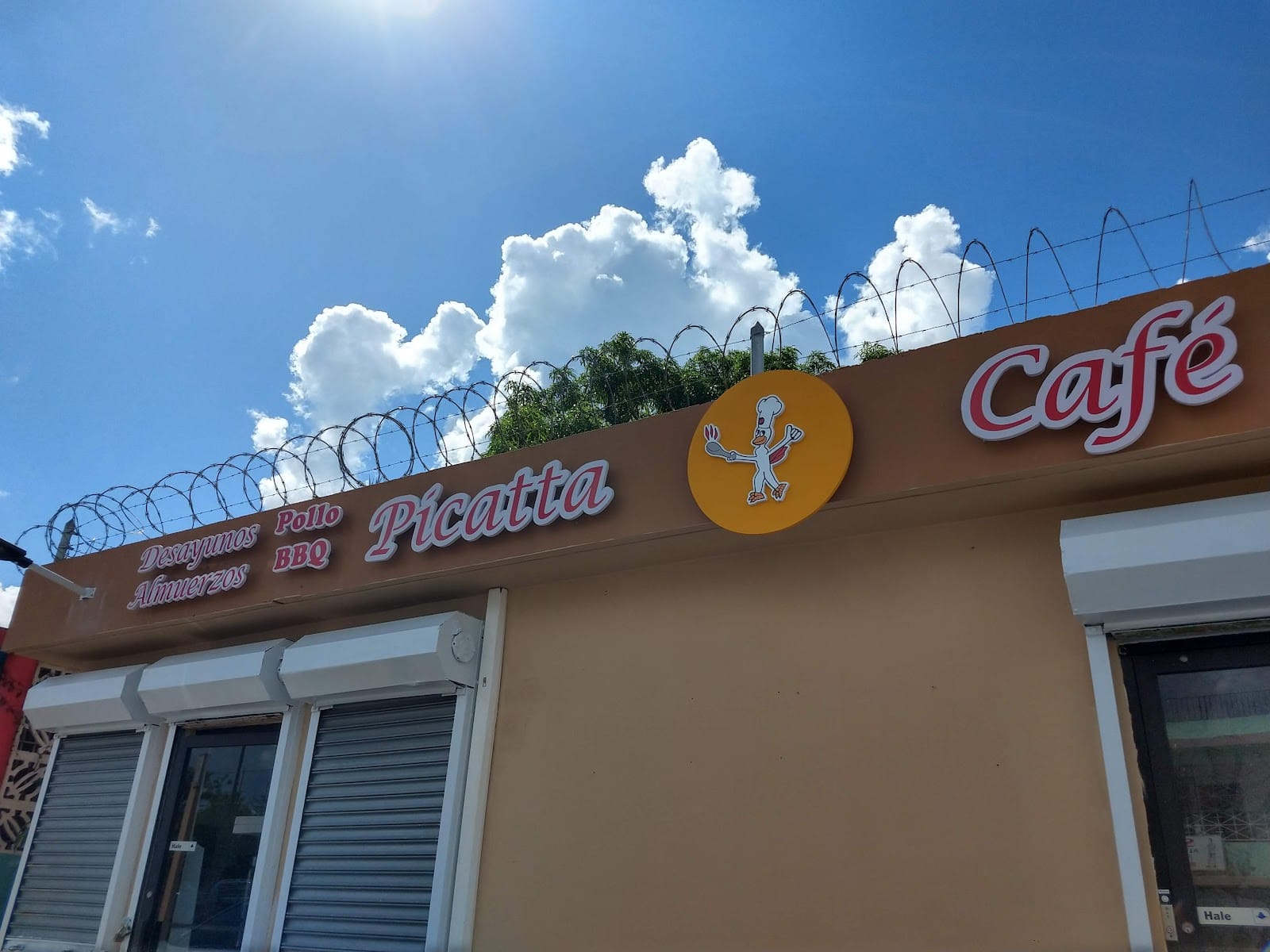 PICATTA CAFÉ