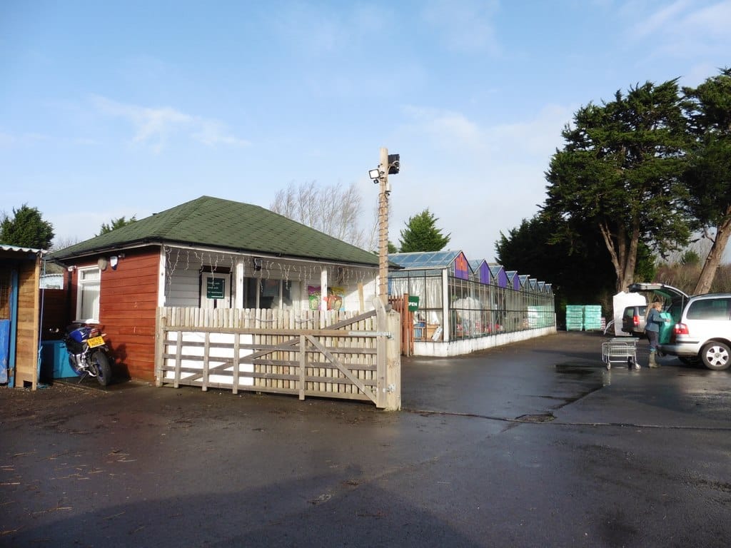 Little Acorns Country Store and Cafe photo 2