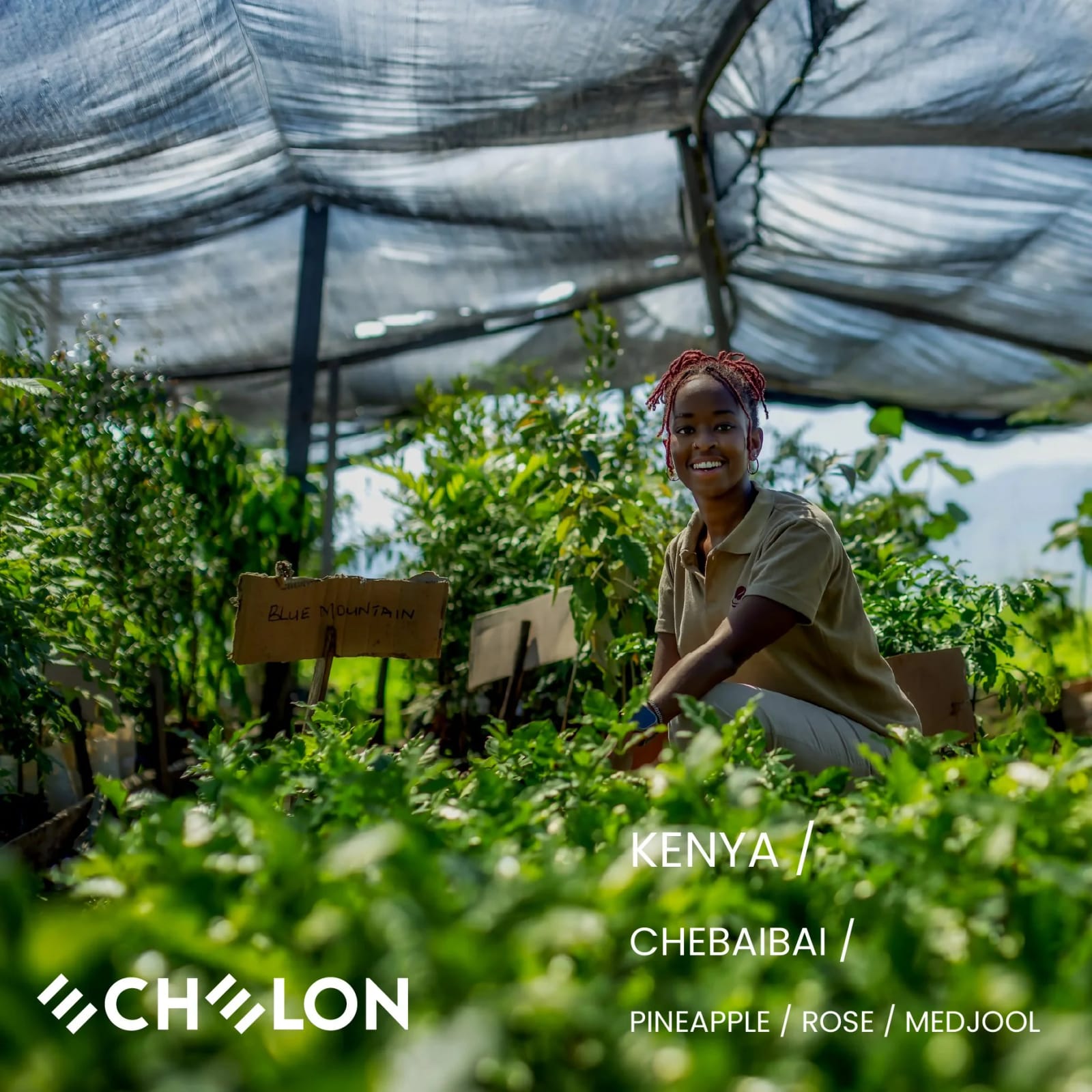 Echelon Coffee Roasters photo 7
