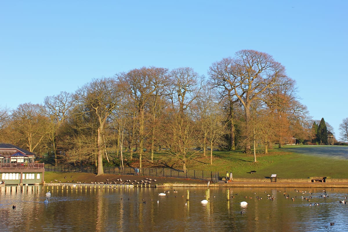The Lakeside Café photo 4