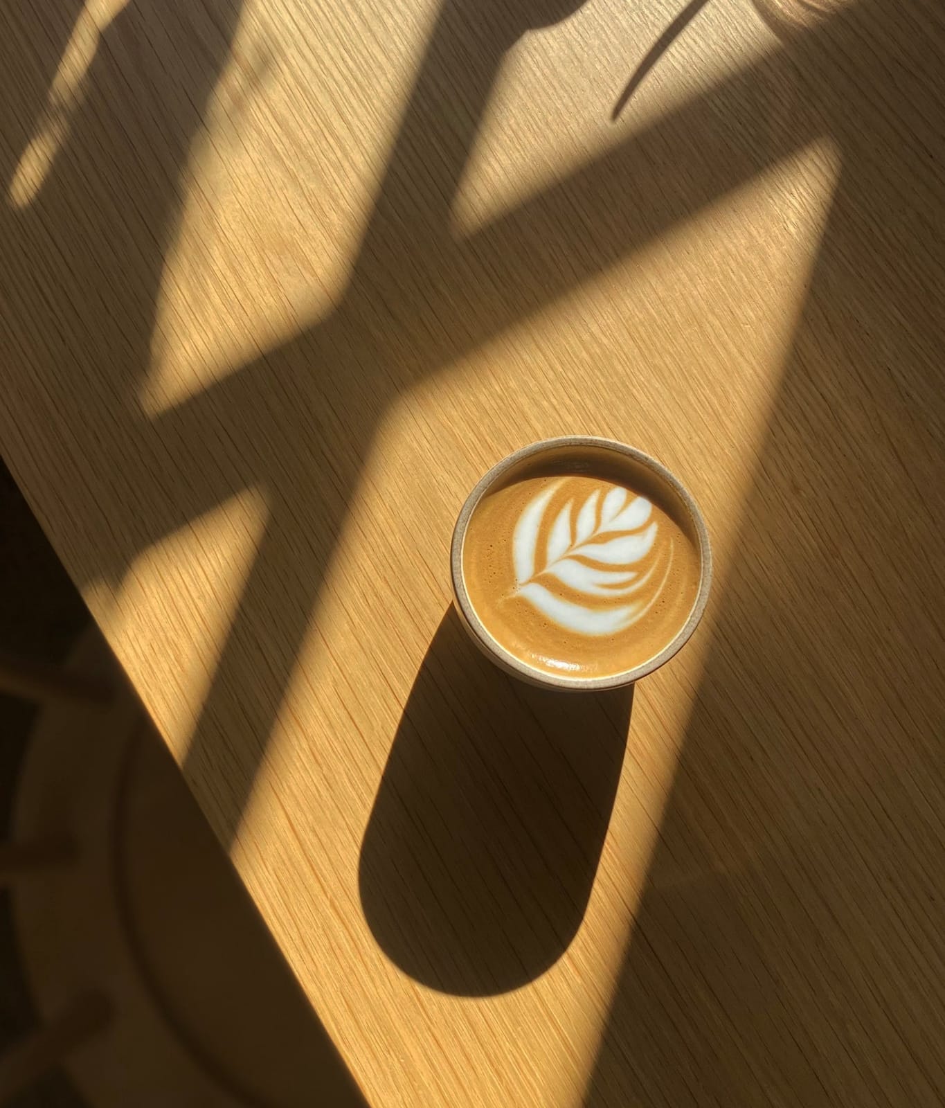 Northern Cobbler Coffee Roasters photo 8