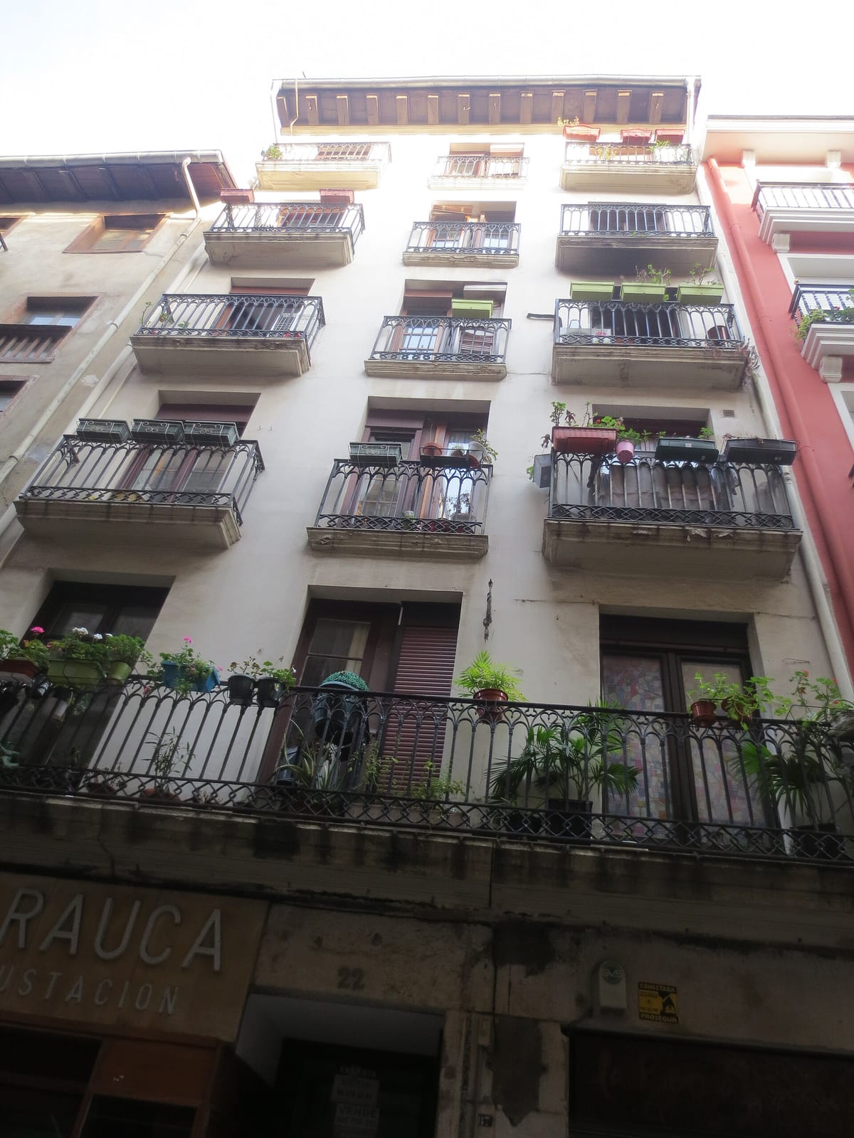 Emeki Cafés photo 3