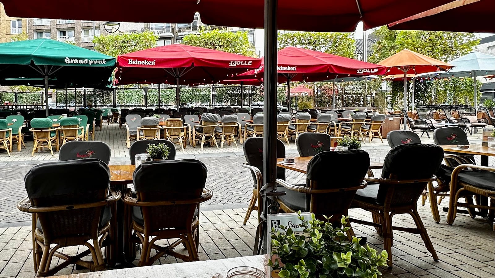 Café Bolle