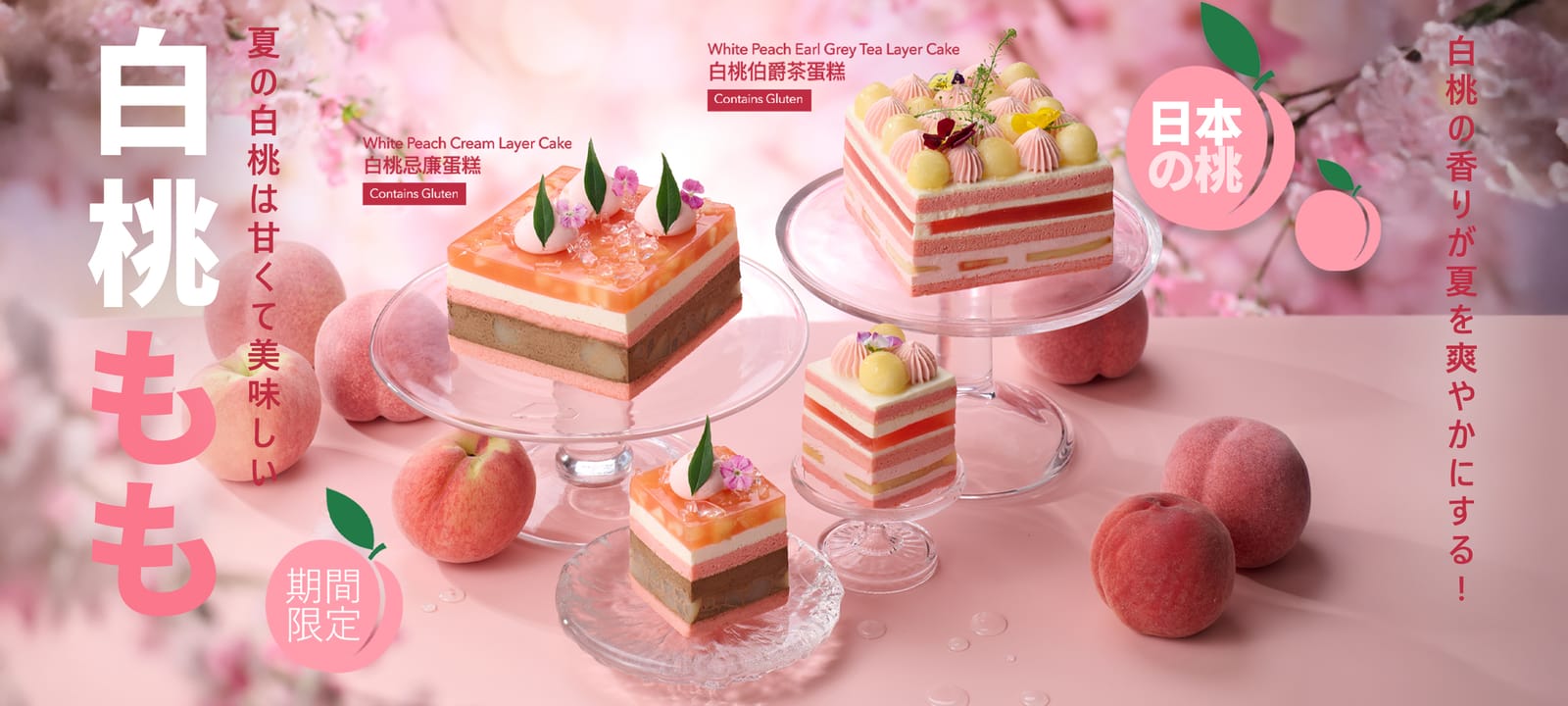 LIFETASTIC Patisserie & PETisserie - New Town Plaza photo 4