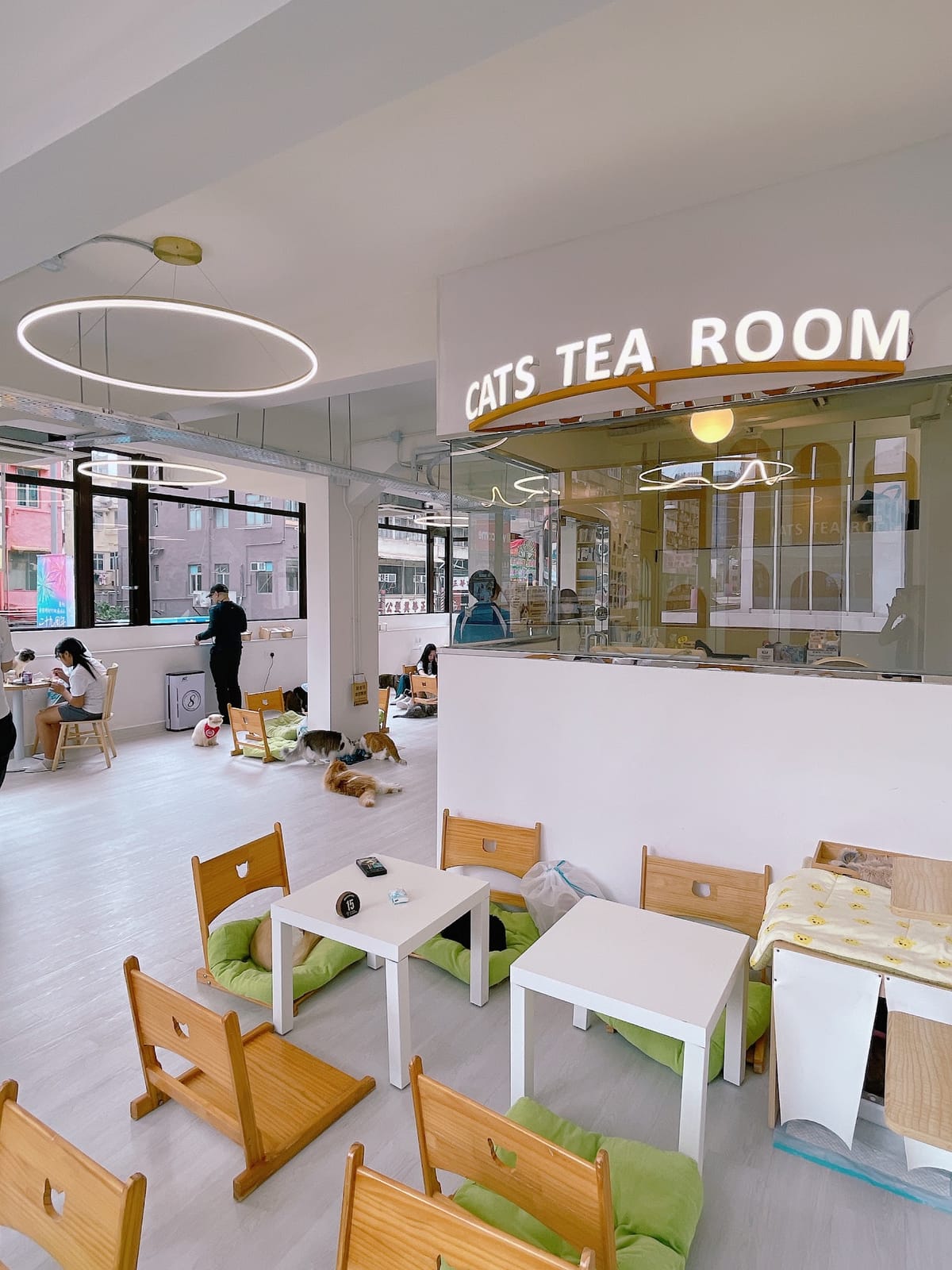 Cats Tea Room Tsuen Wan