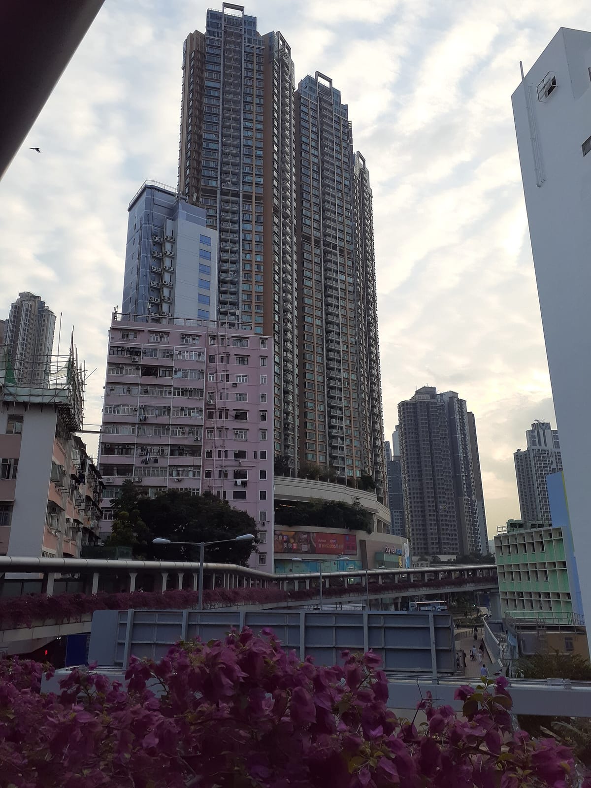 Sun Kee Cafe (Tsuen Wan) photo 5
