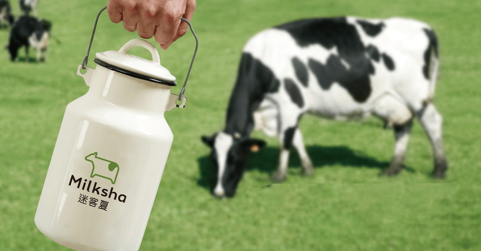 Milksha photo 2