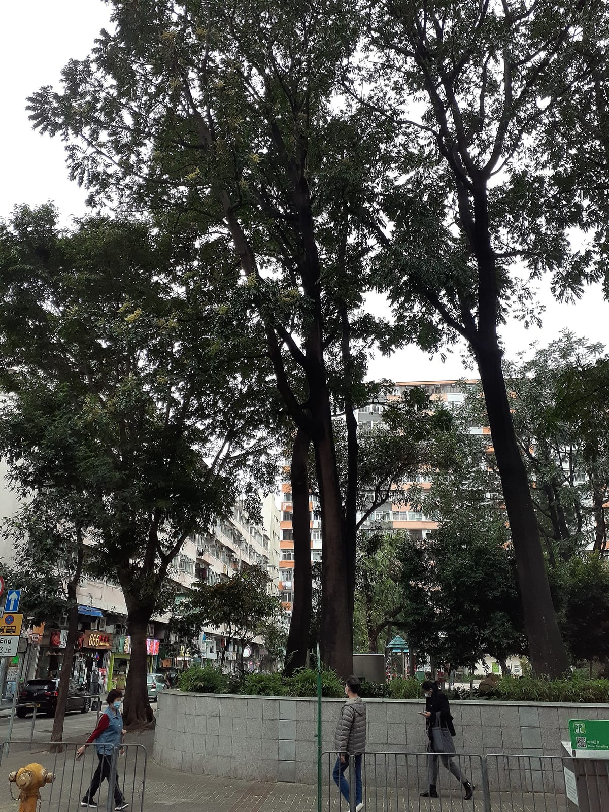 POWER SKY CAFE（Shung Ling Building） photo 4