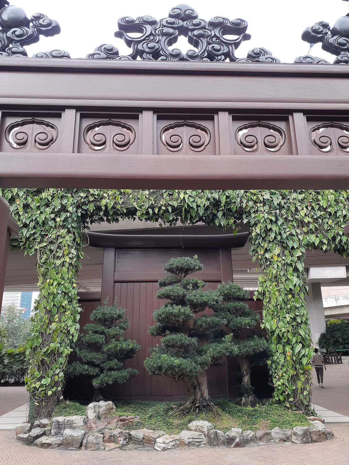 Cafe de Itamomo (Diamond Hill) photo 4