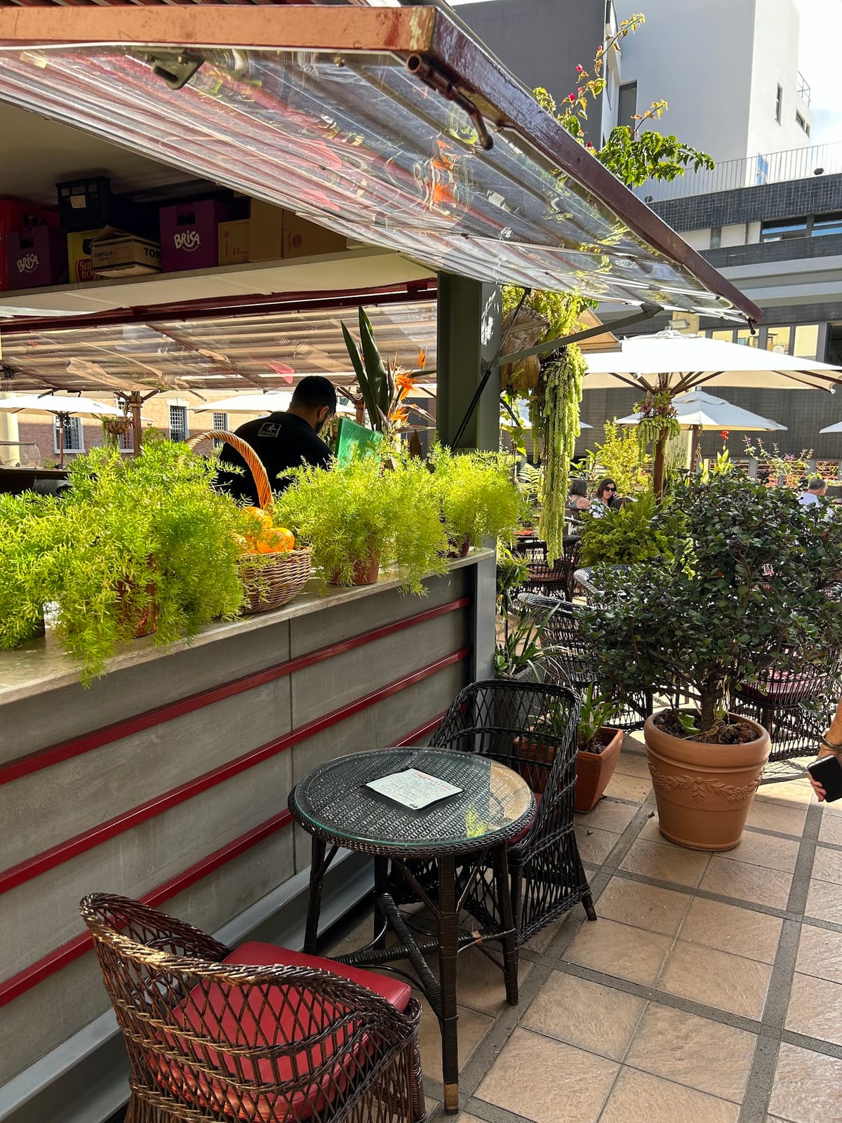 Macaronésia - Garden Terrace Café