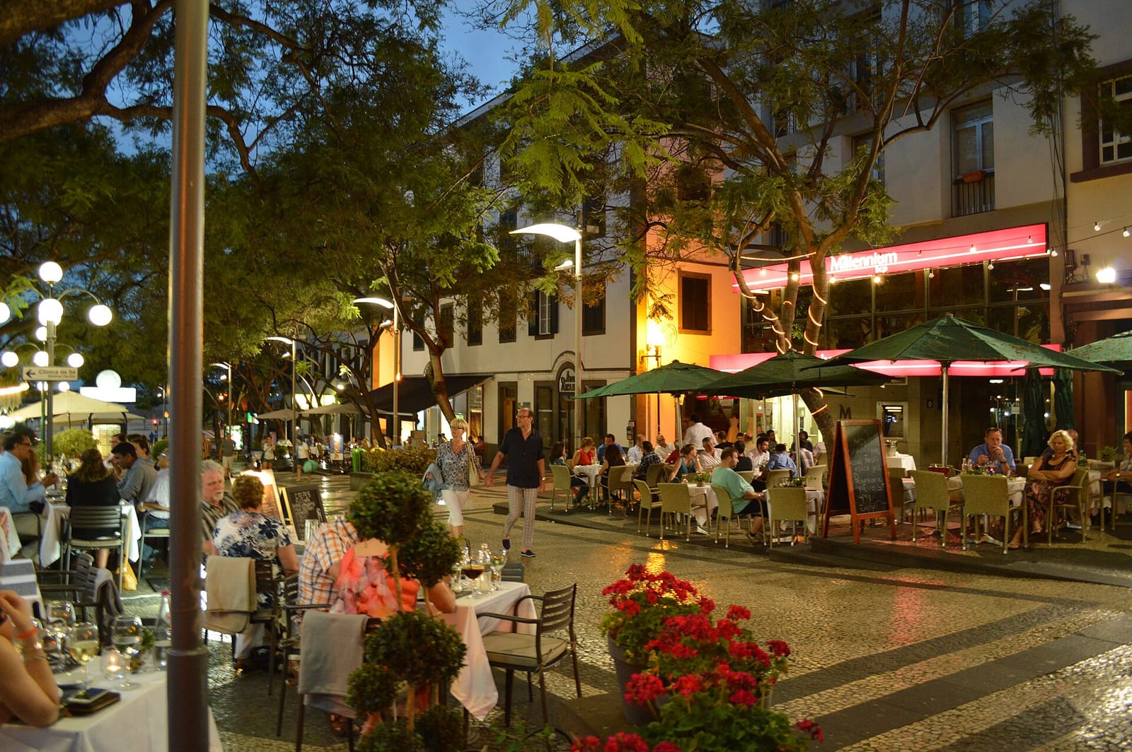 Café Funchal Bar photo 3