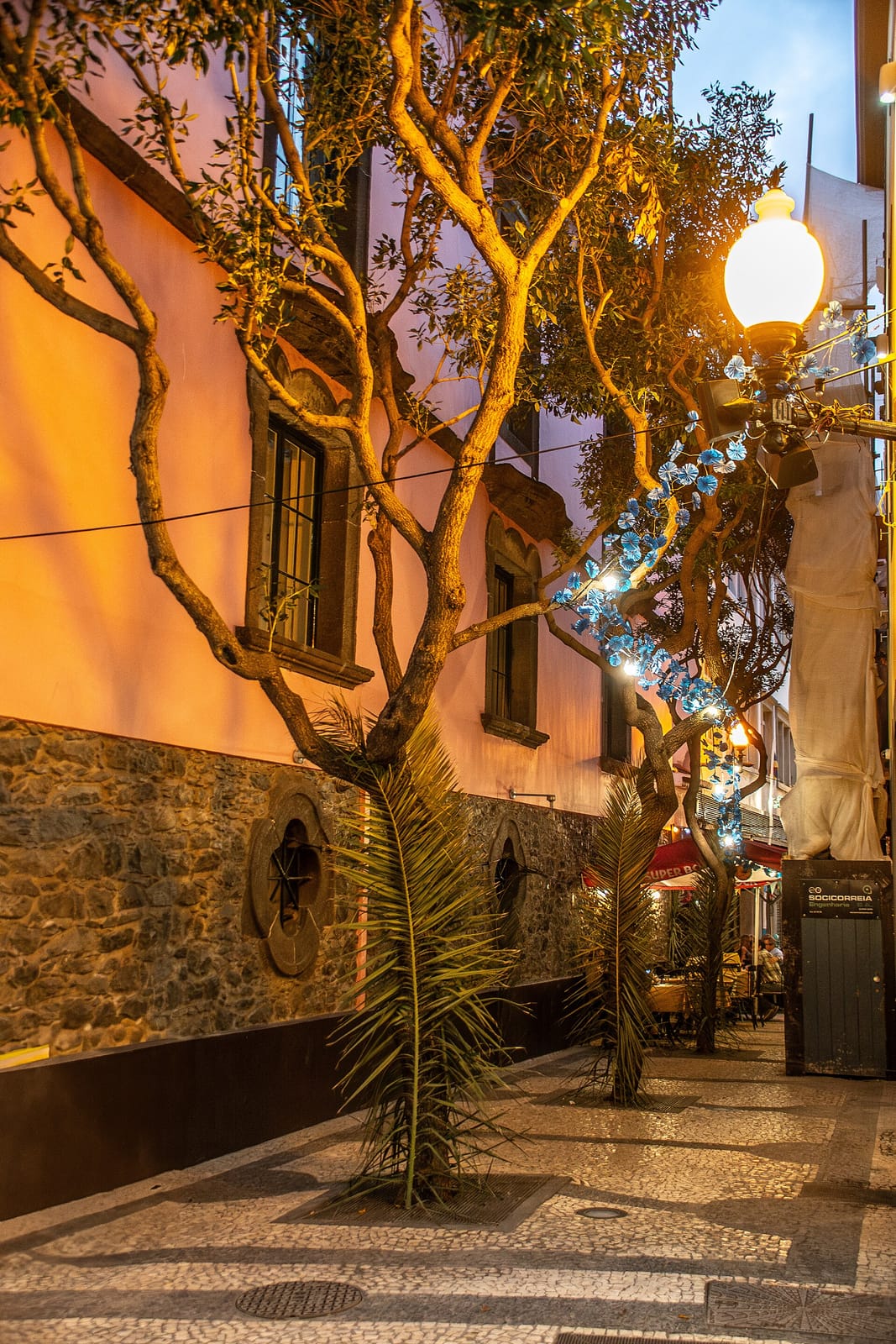 Café Funchal Bar photo 5