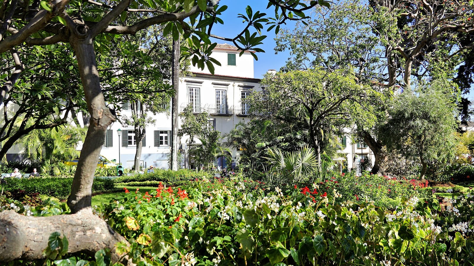 Cafés Tofa photo 2