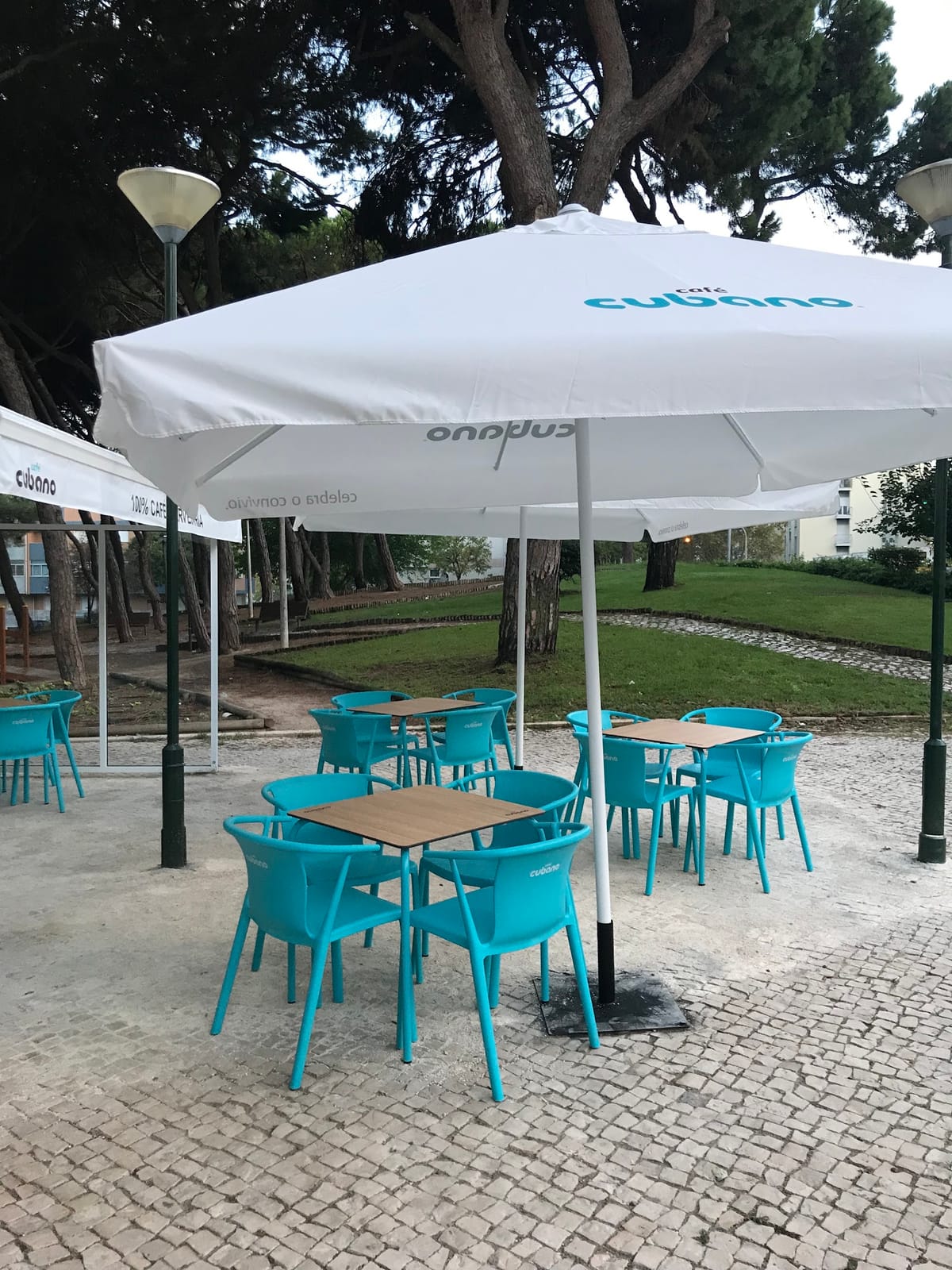 Café 100%