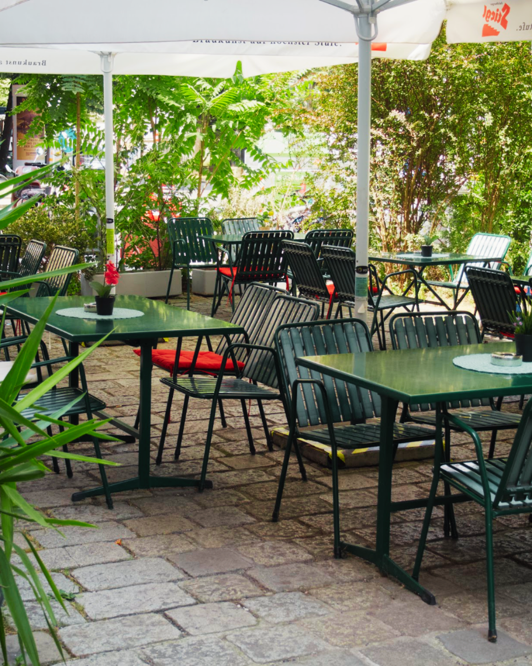 Café Kadett photo 5