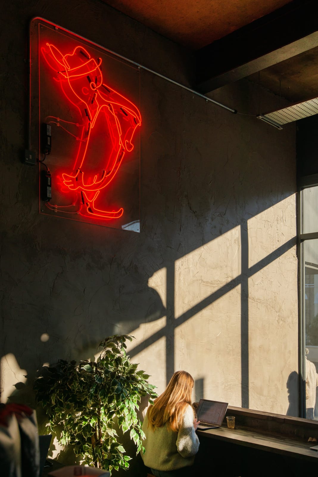 Pelicano Coffee Co. photo 4