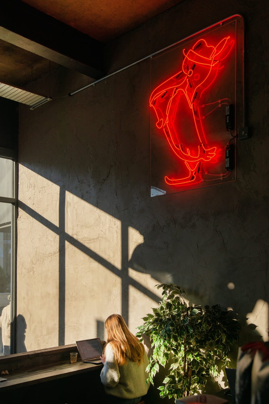 Pelicano Coffee Co. photo 8