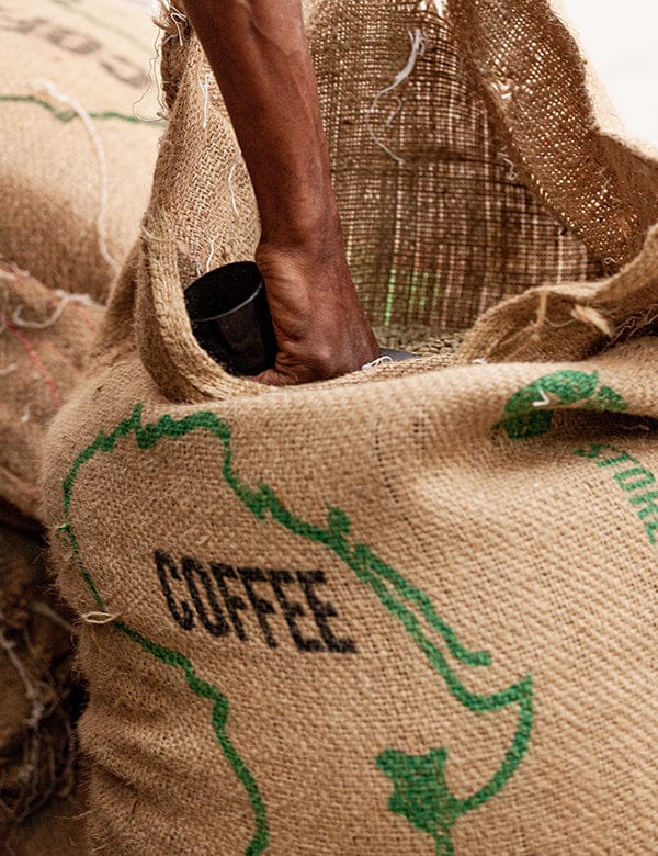 Spring Valley Coffee - London photo 3