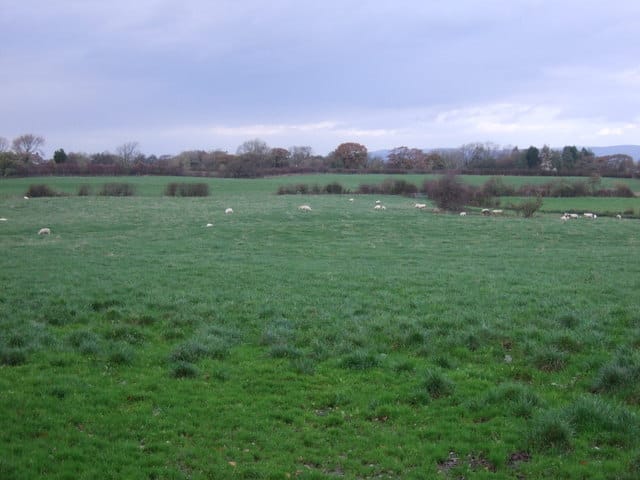 Naked Milk Farm Shop & Honesty Shed photo 3