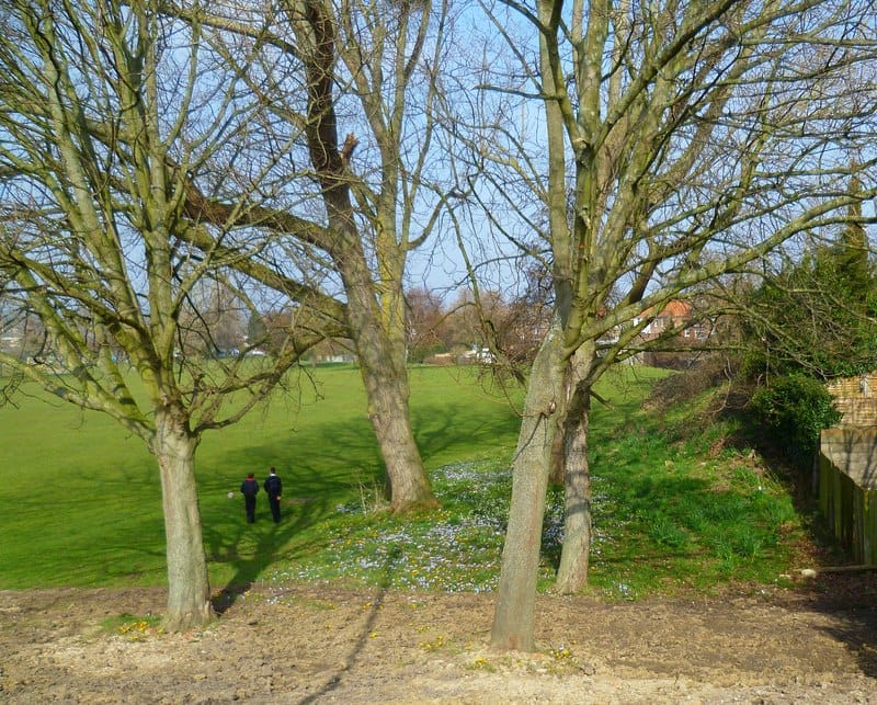 SORoast photo 5