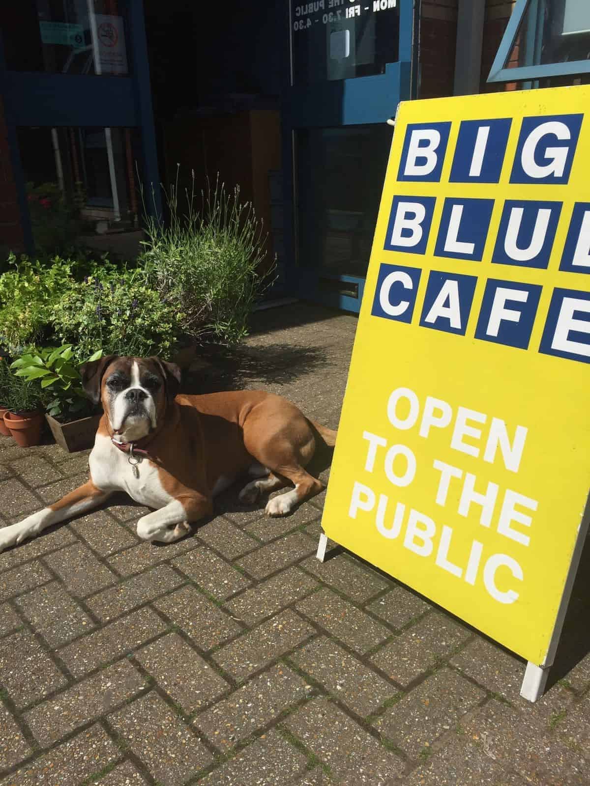 Big Blue Cafe photo 2