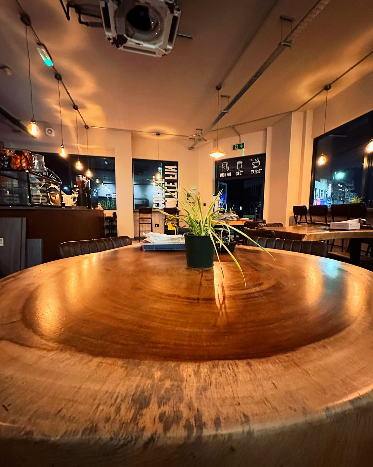 Little Fin Coffee Roastery