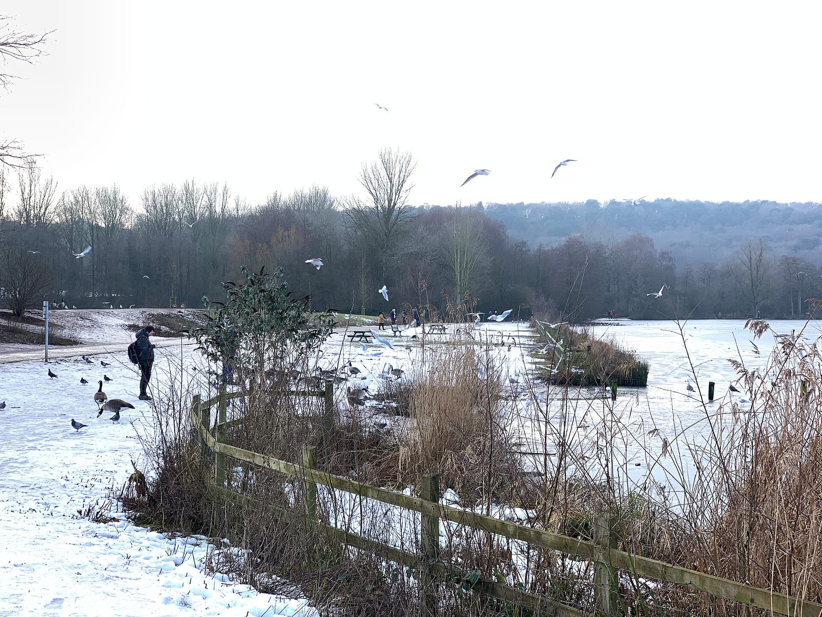 Westport Lake View Cafe photo 3