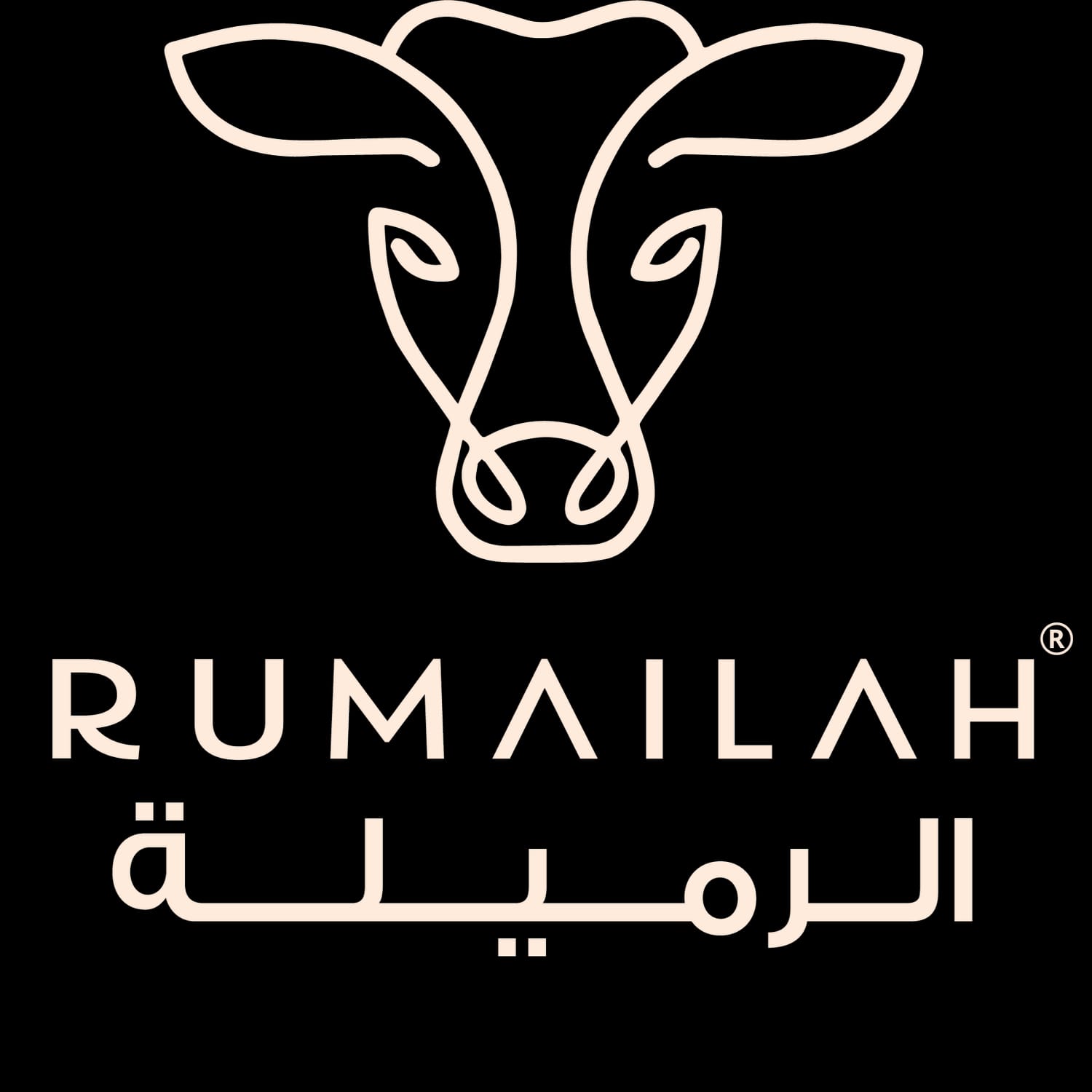 Rumailah Café - Corniche photo 3