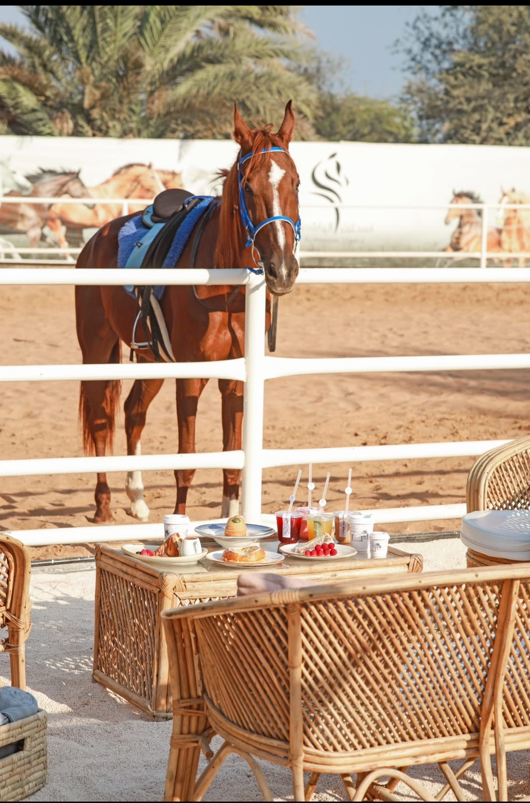 Farm Cafe