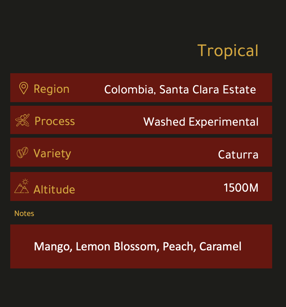 El Matador Coffee Roasters photo 6