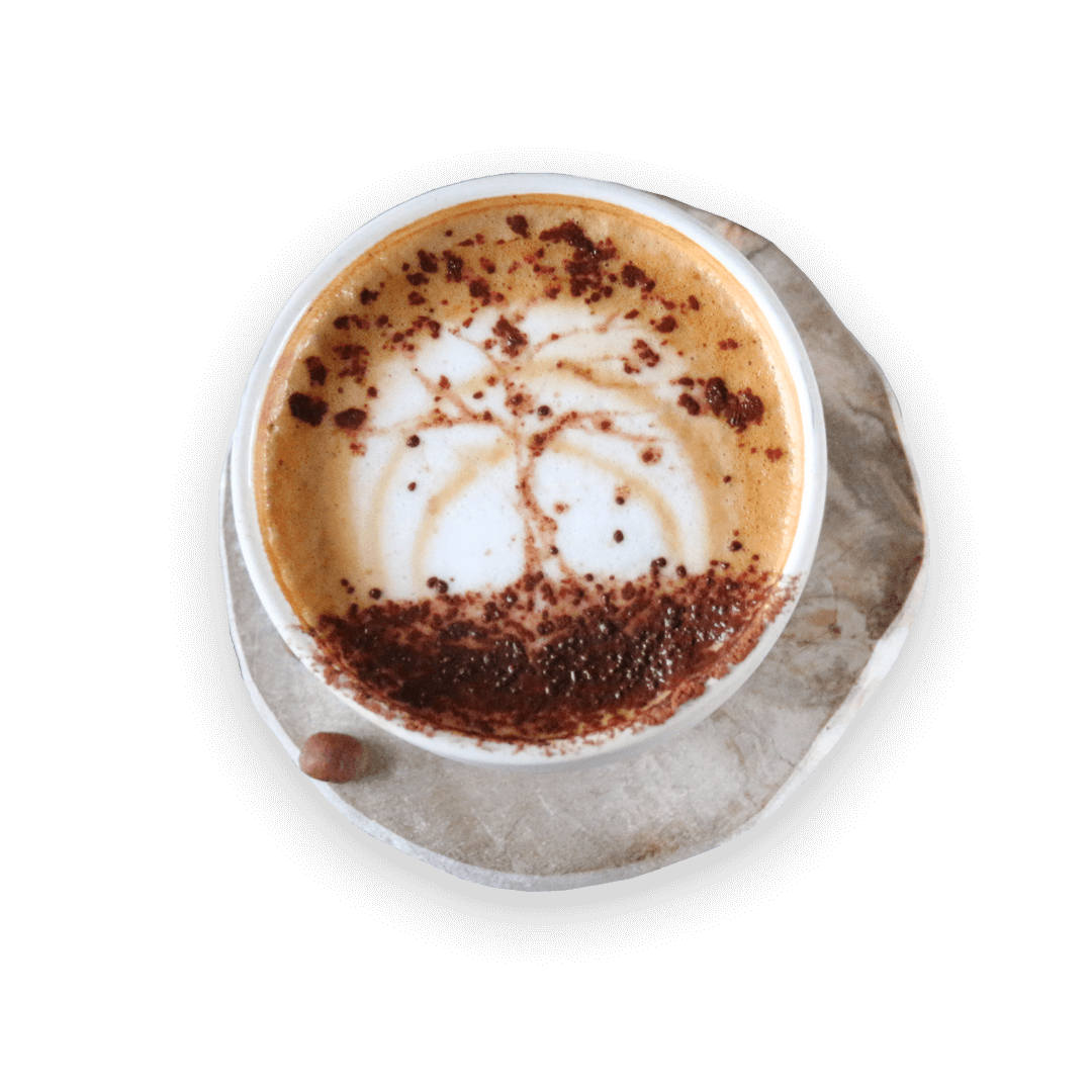 Cranio Cafe photo 5