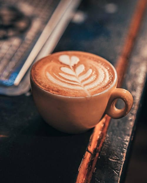 Alchemy Coffee Cork at the Marina Market photo 7