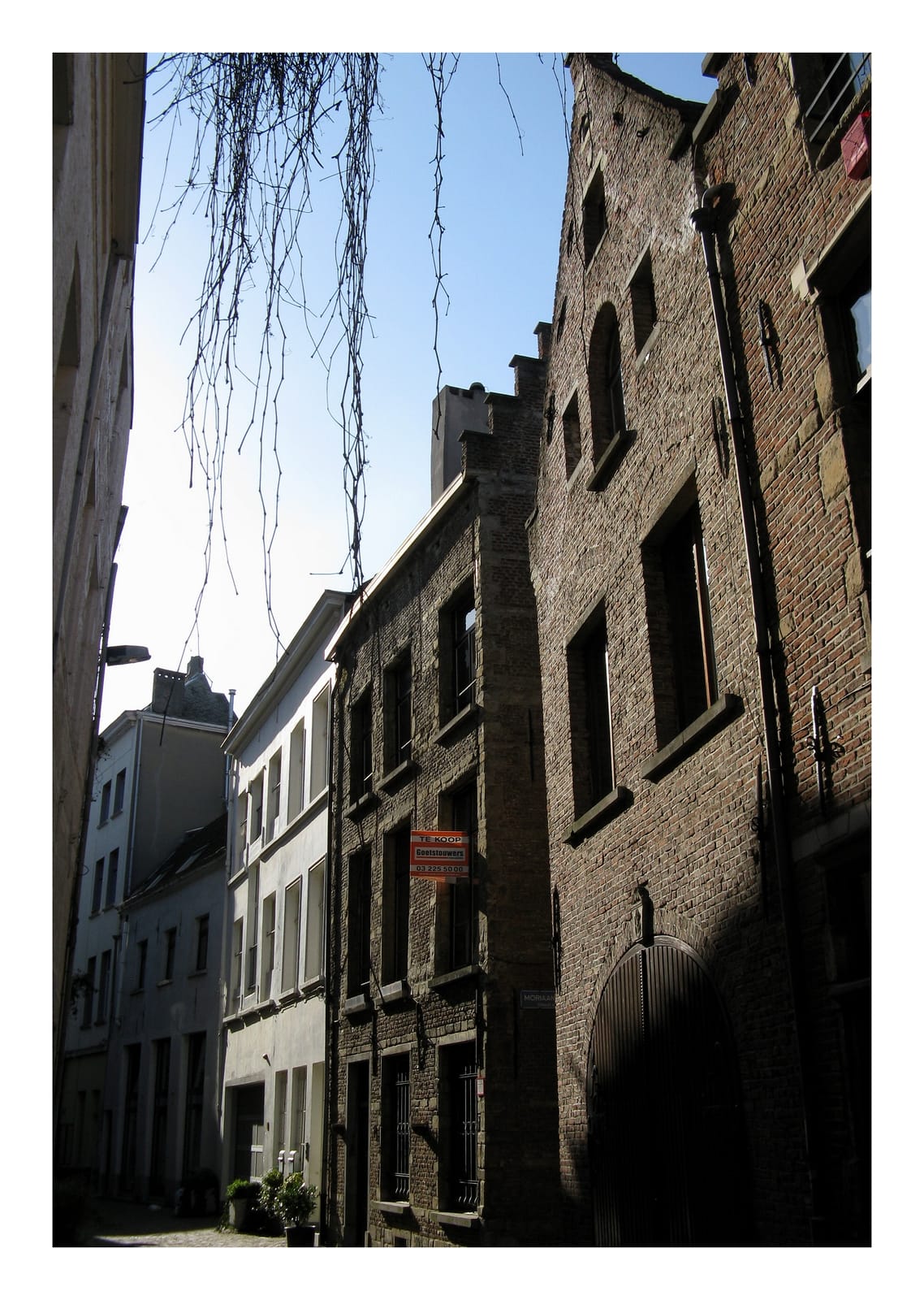 De Kat photo 5