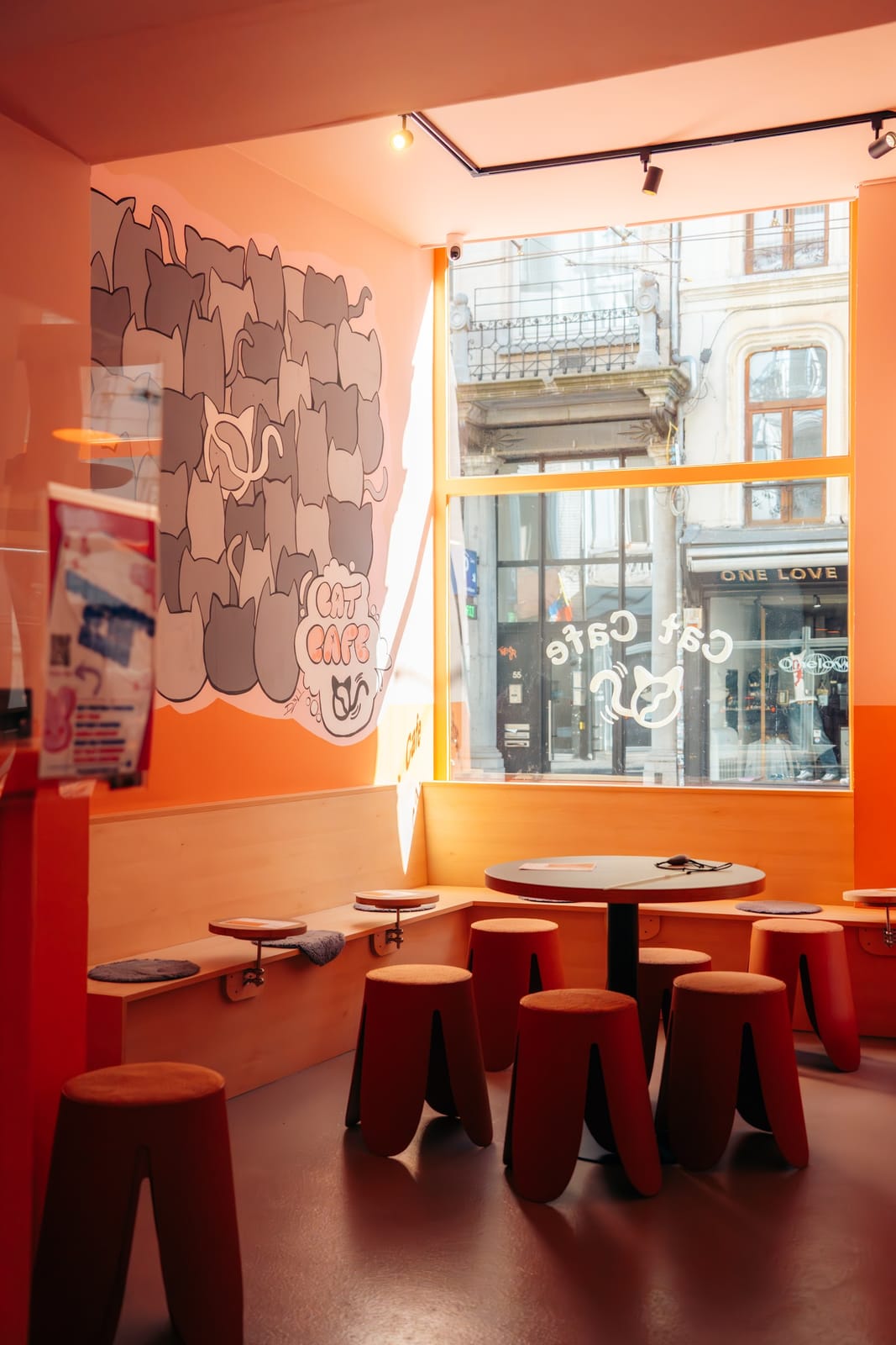 CatCafé Antwerp — kattencafé & adoptiecafé