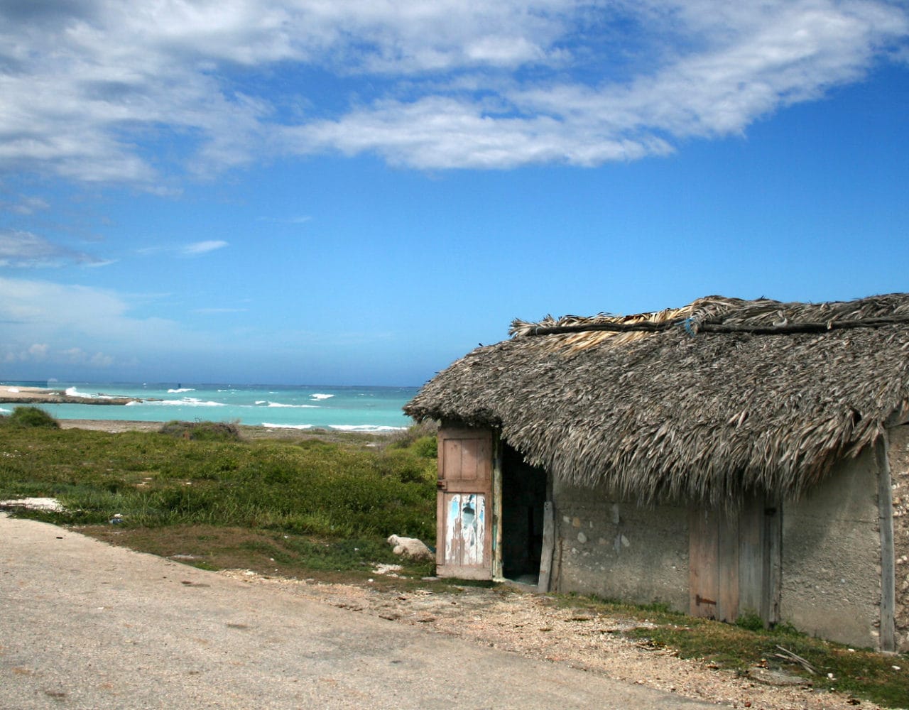 Café Maguana photo 5