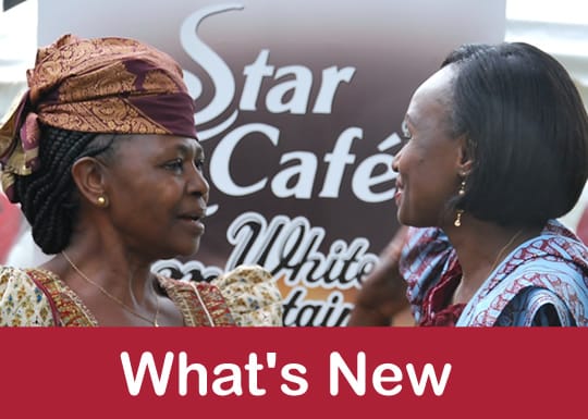 Star Cafe Ltd photo 4