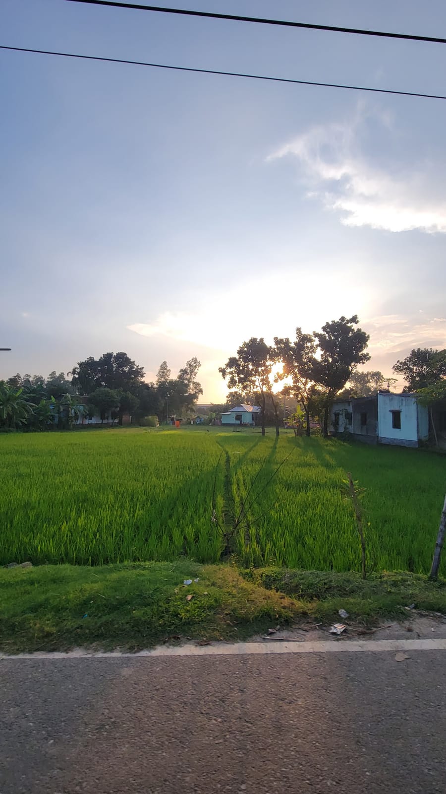 Hatimara