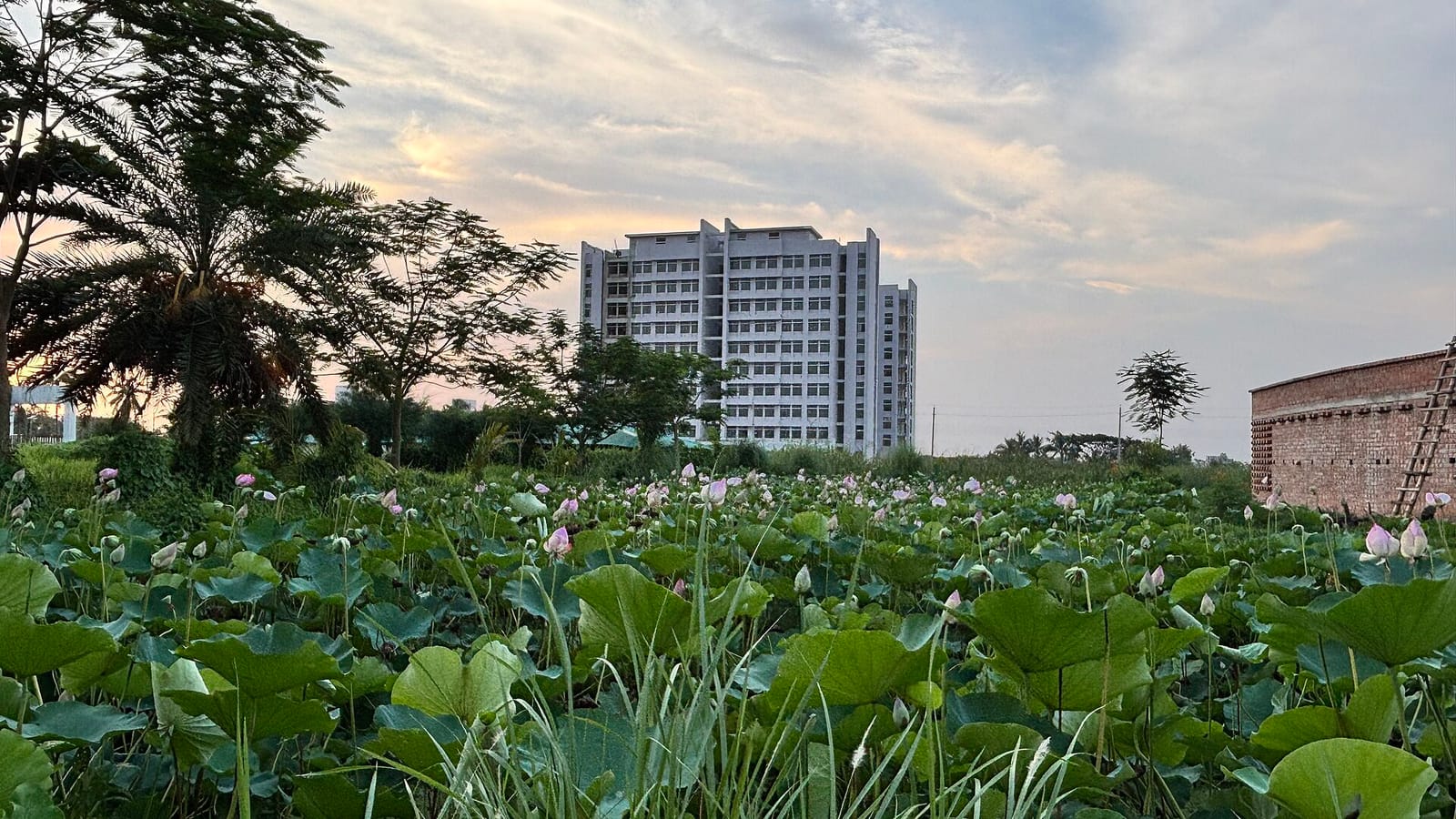 CAFETERIA, Khulna University photo 2