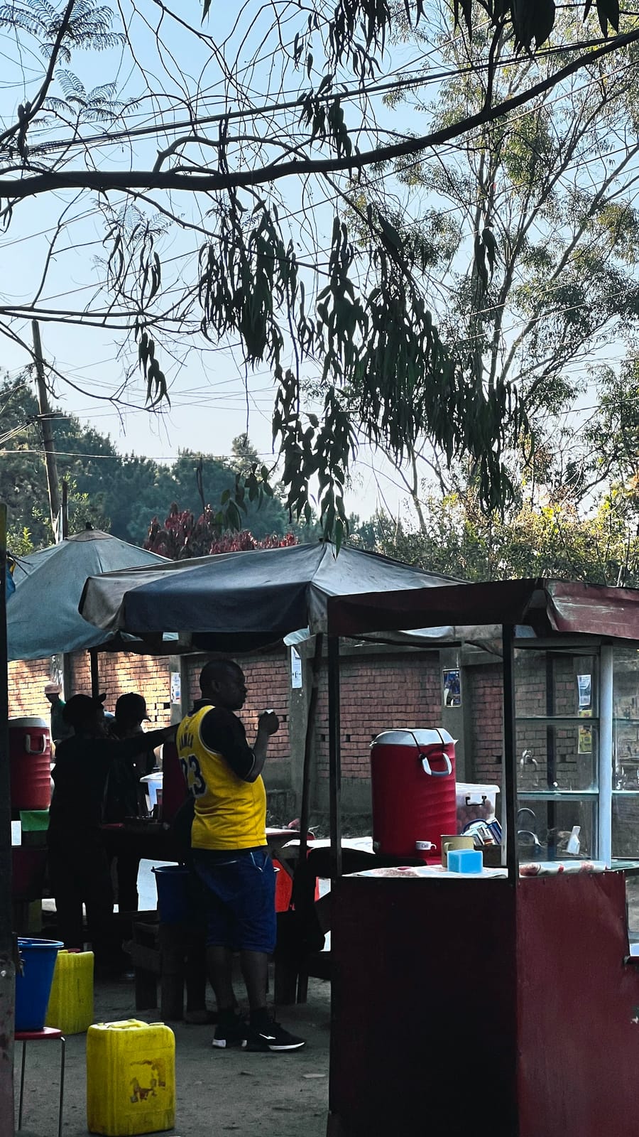 Ronono Soja Ankatso 1