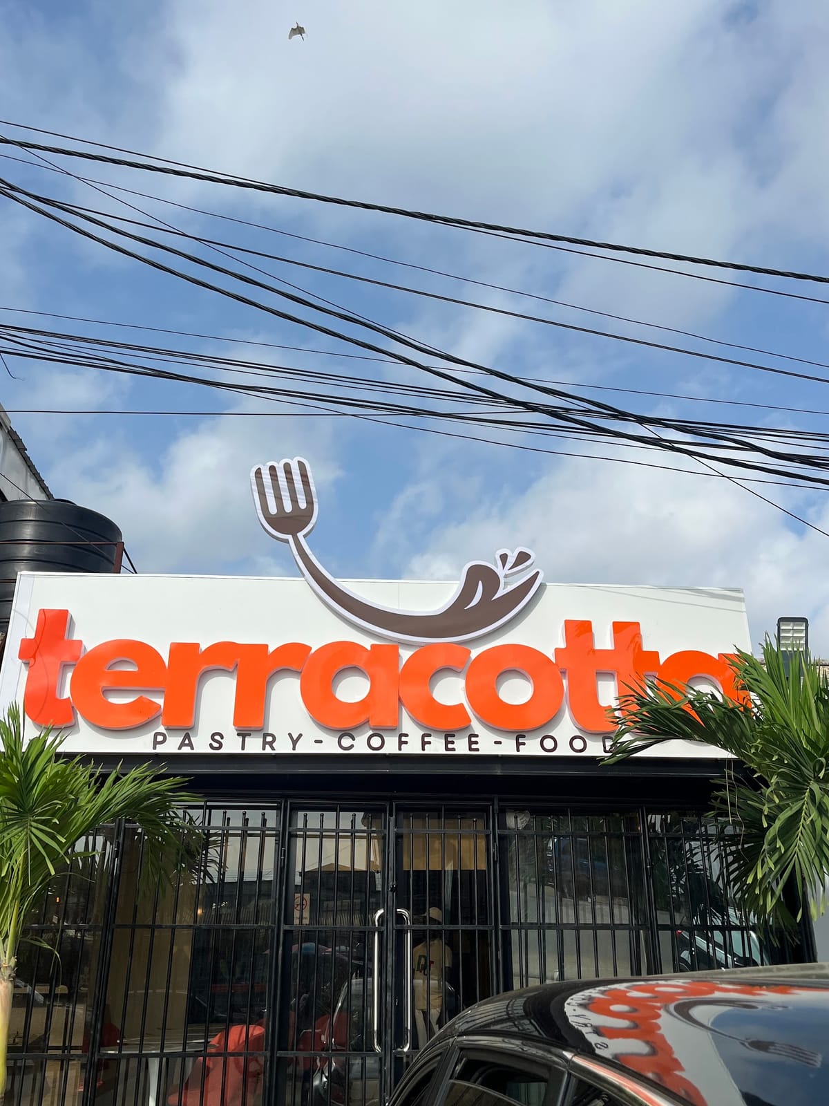 TERRACOTTA