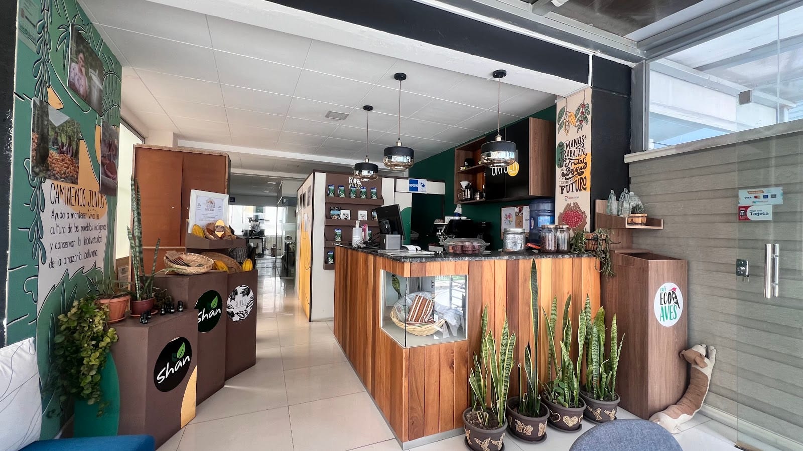 Origen Café Eco de las Aves