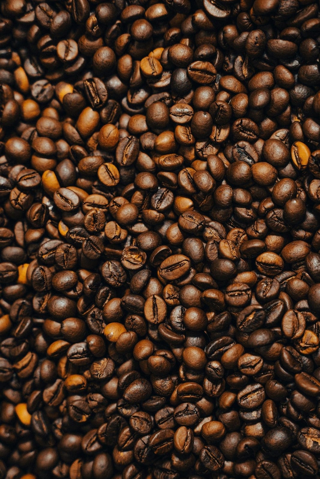 Elska Coffee photo 3
