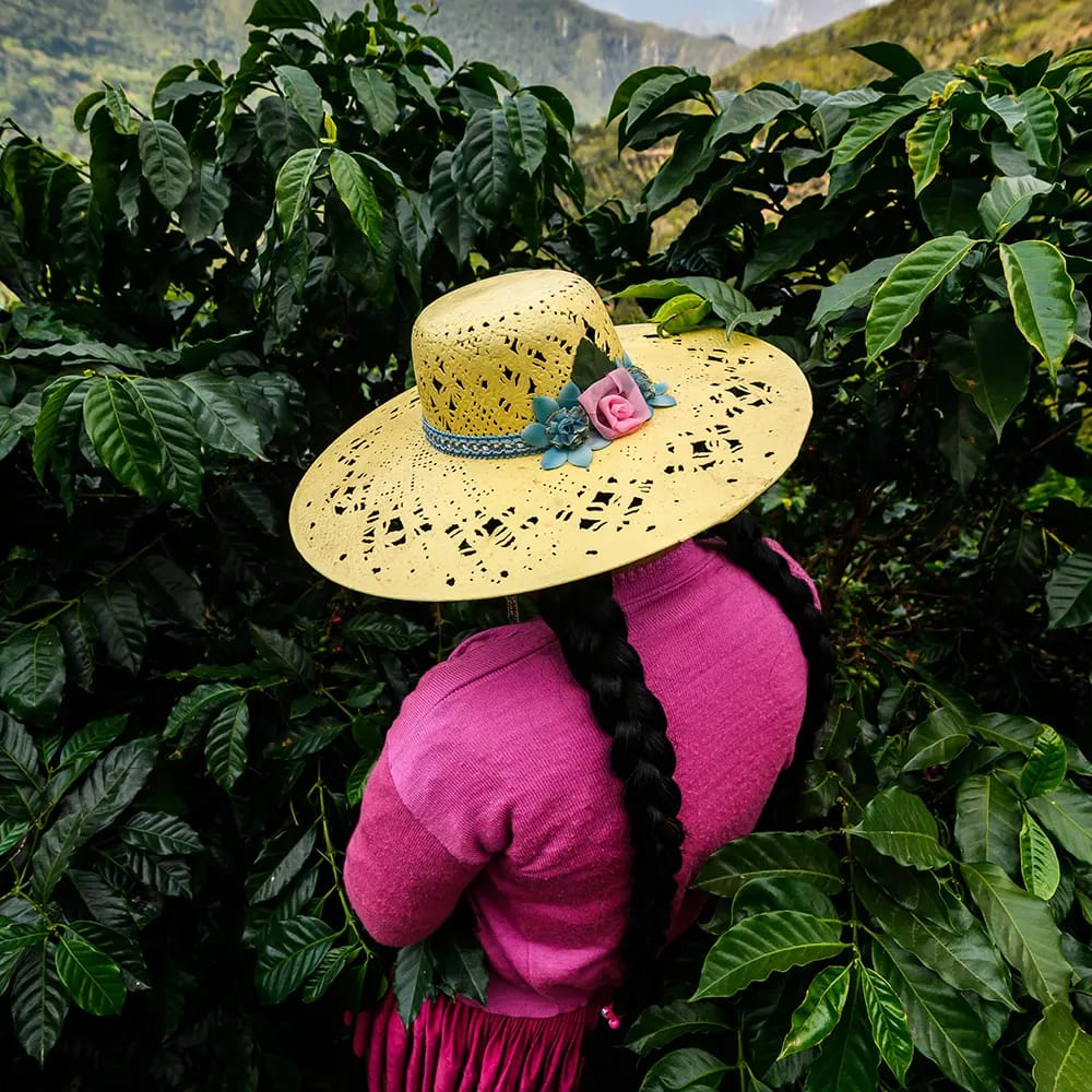 Huracán Coffee Pirkliai photo 4