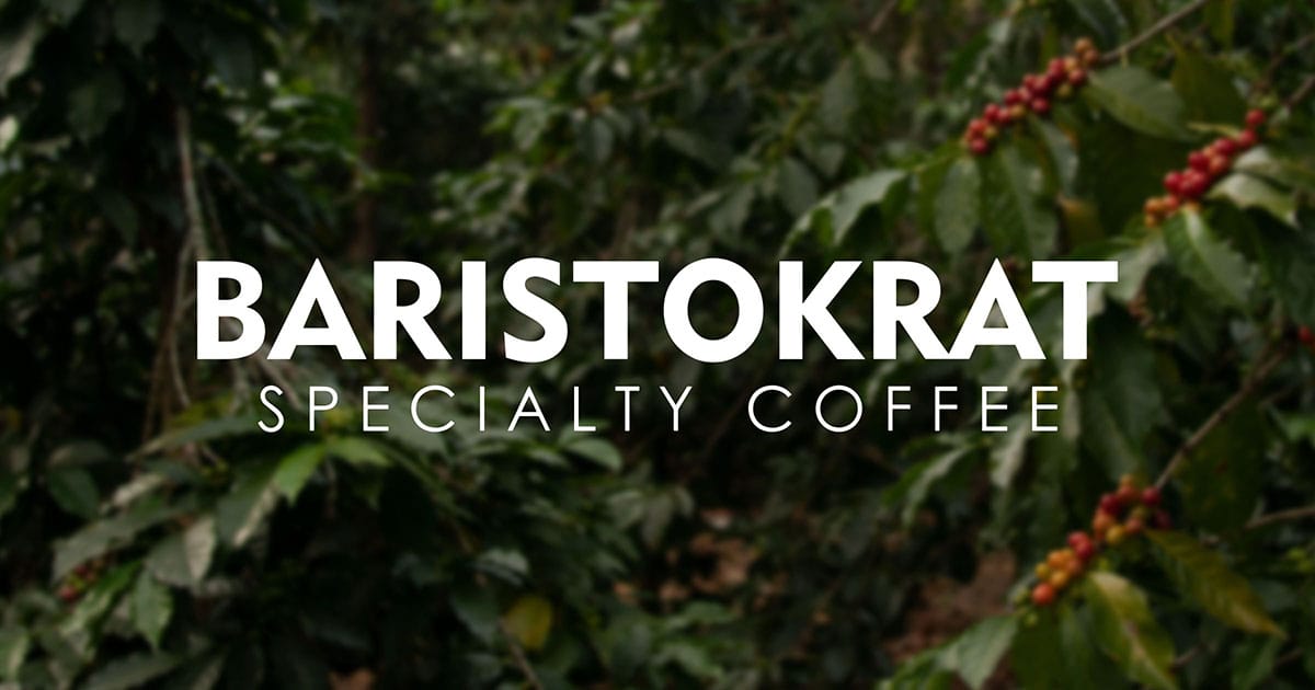 BARISTOKRAT photo 2