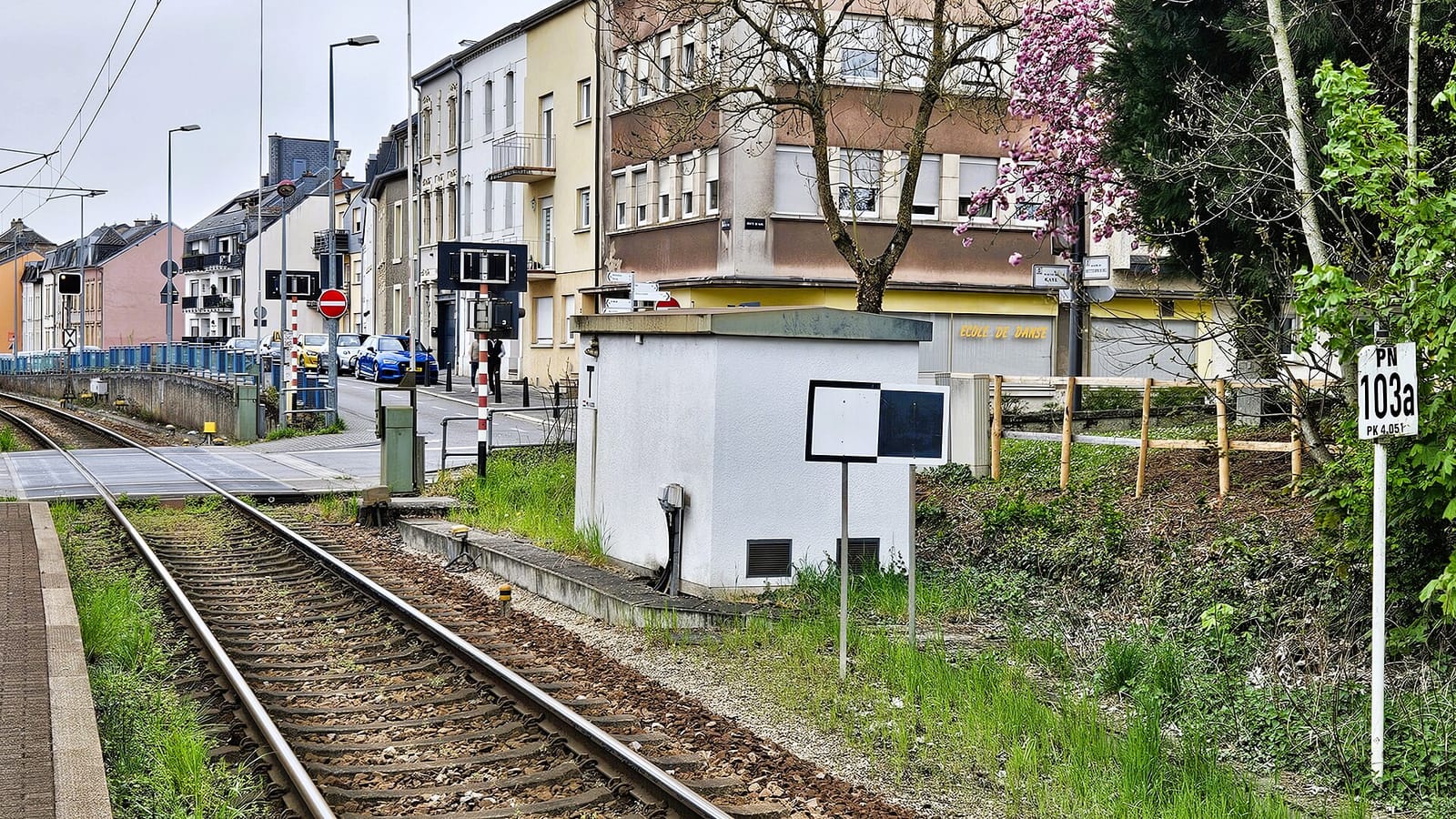 Le Diplomate photo 4