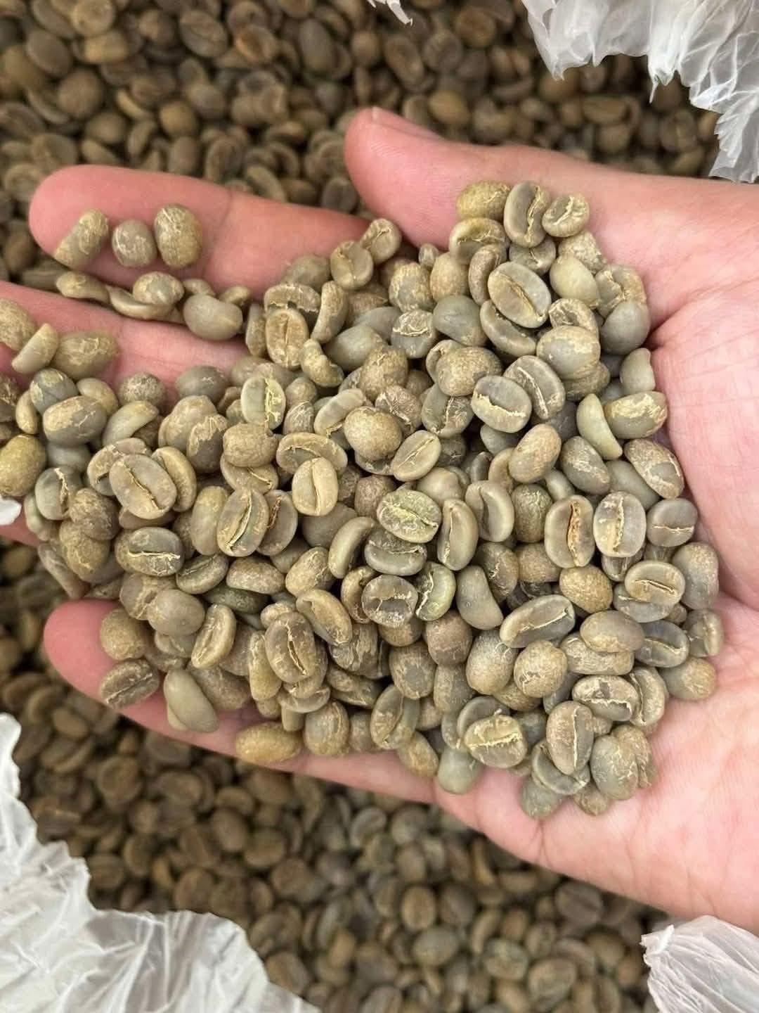 Majirane Coffee