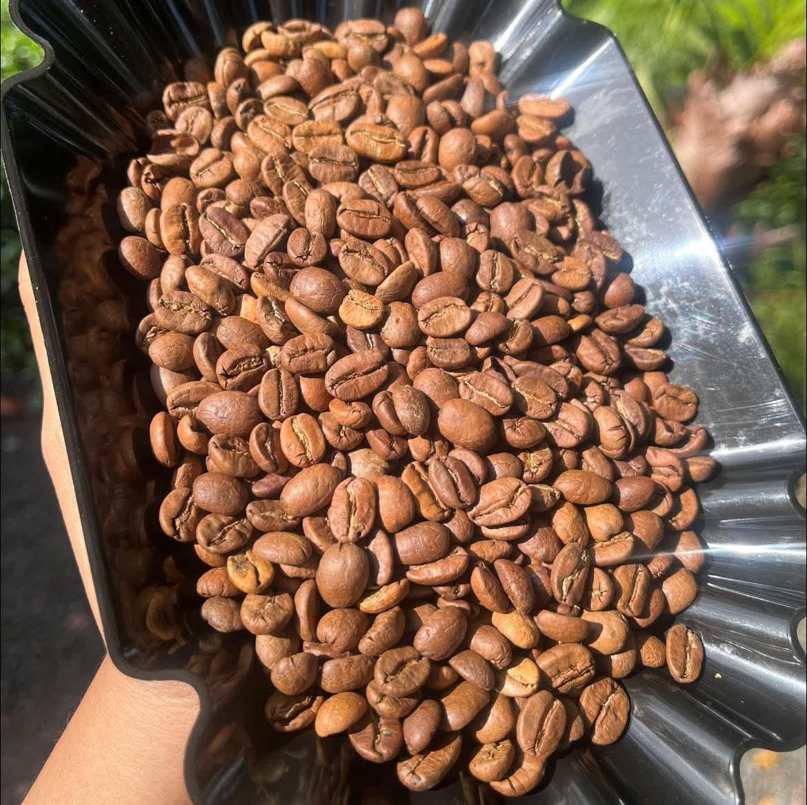 Majirane coffee