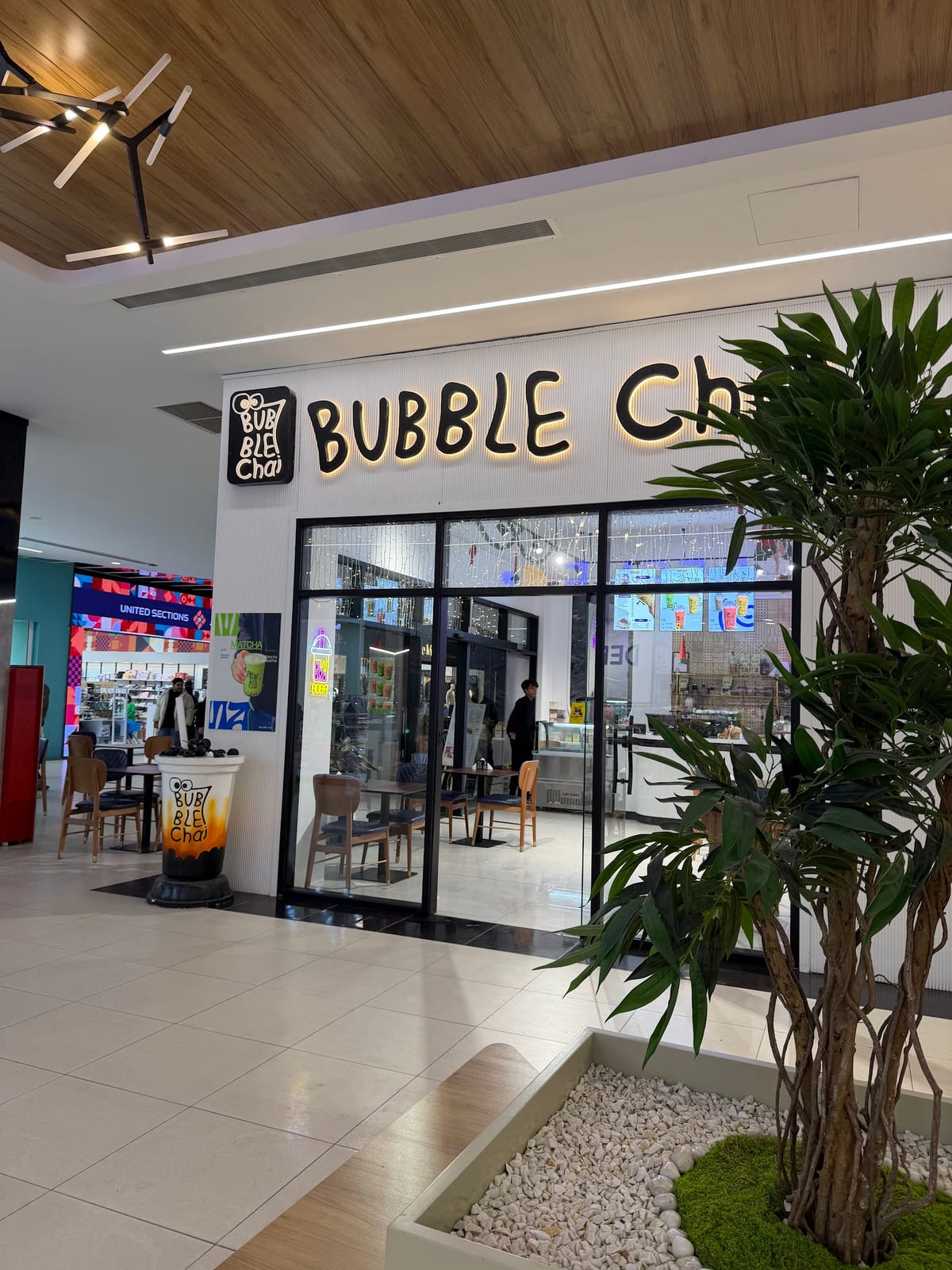 Bubble Chai