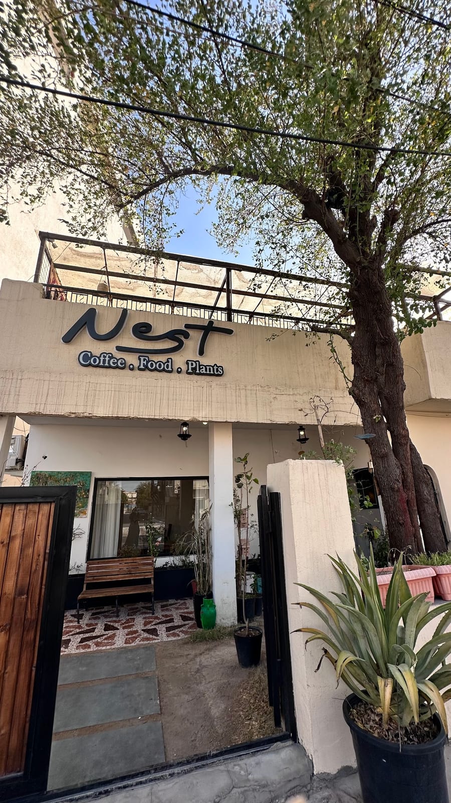 Nest House Cafe