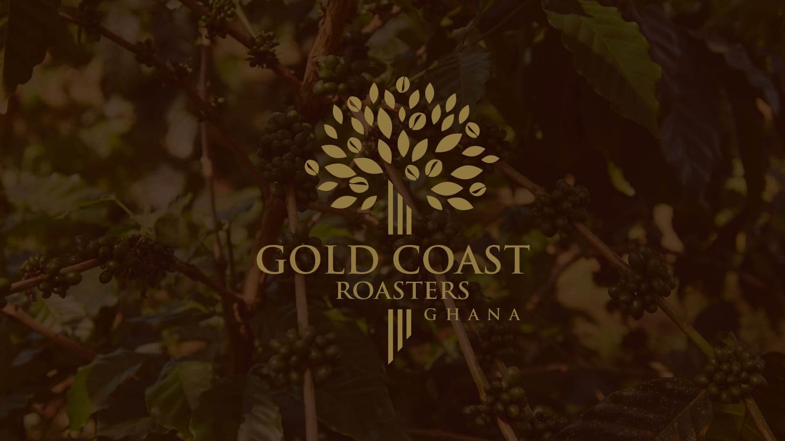 Gold Coast Roasters Ghana photo 2